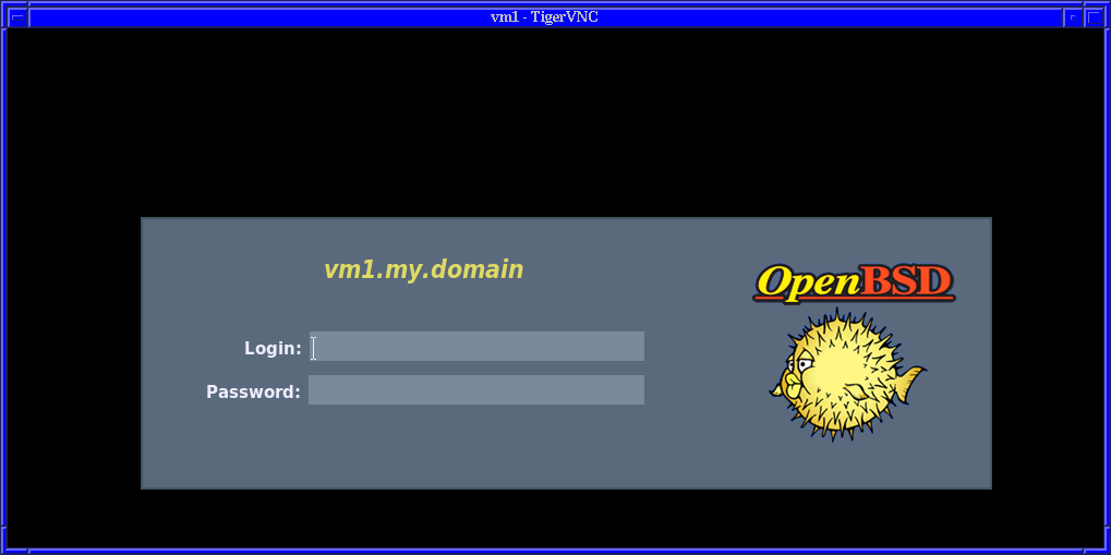 XDM login over VNC on a OpenBSD vm